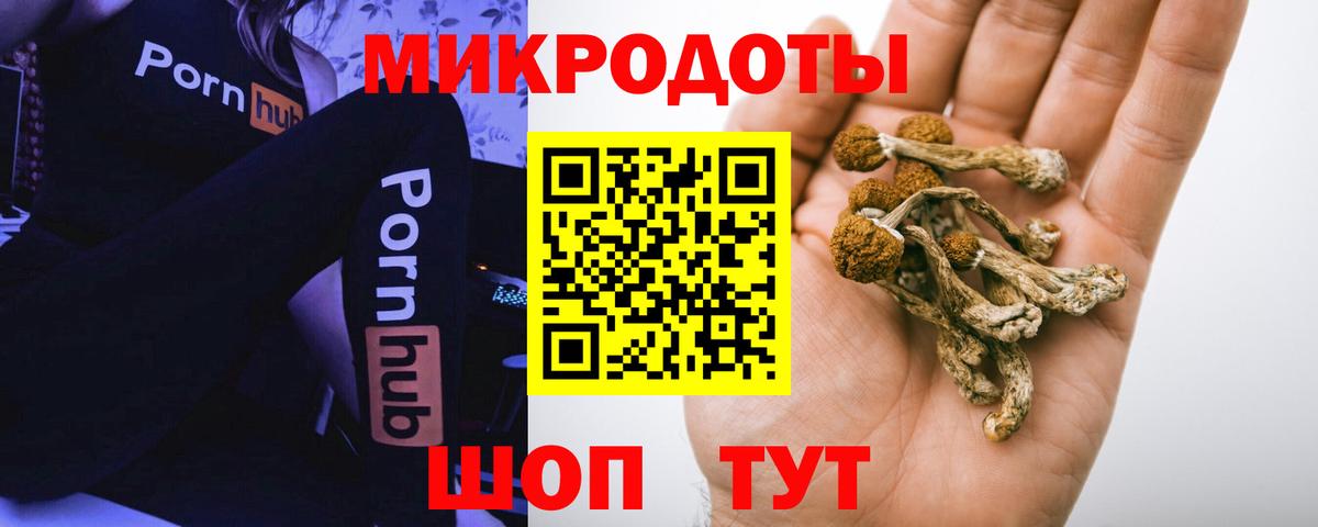 Сосновоборск  Псилоцибиновые грибы Psilocybe  Вход с VPN  Галлюциногенные грибы GOLDEN TEACHER 